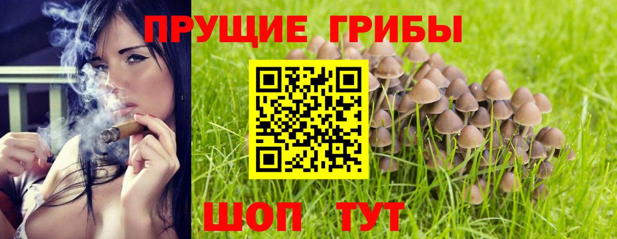 Галлюциногенные грибы мицелий  Вход с VPN  Барнаул 