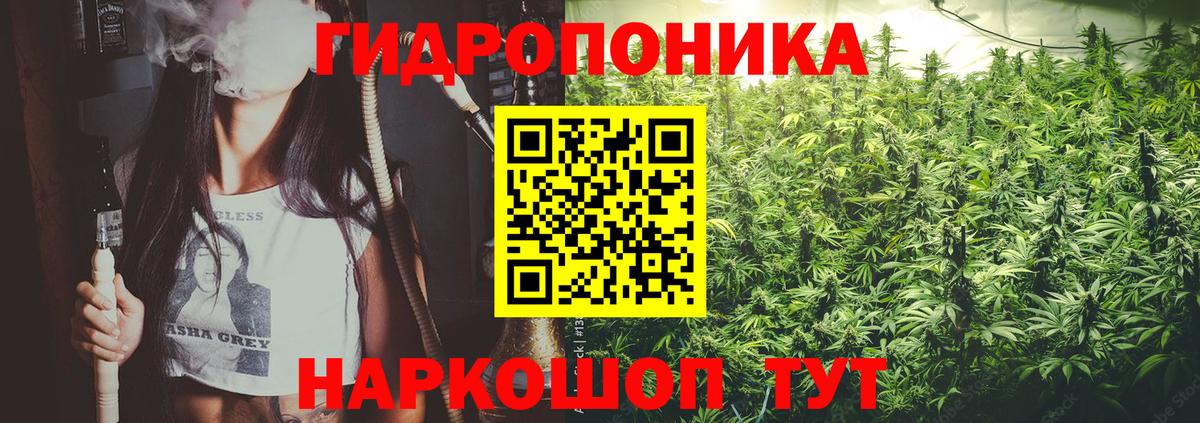 Канабис планчик  Вход с VPN  Каннабис LSD WEED  Каннабис LSD WEED  Бошки марихуана SATIVA & INDICA  Барнаул 